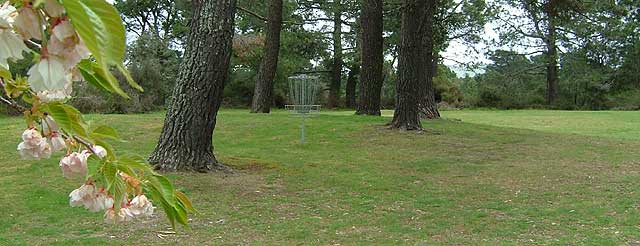 Disc Golf New Zealand